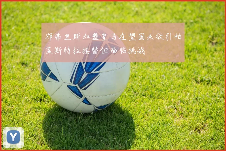 邓弗里斯加盟皇马在望国米欲引帕莱斯特拉接替但面临挑战