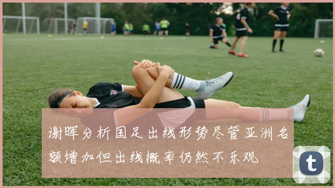 谢晖分析国足出线形势尽管亚洲名额增加但出线概率仍然不乐观